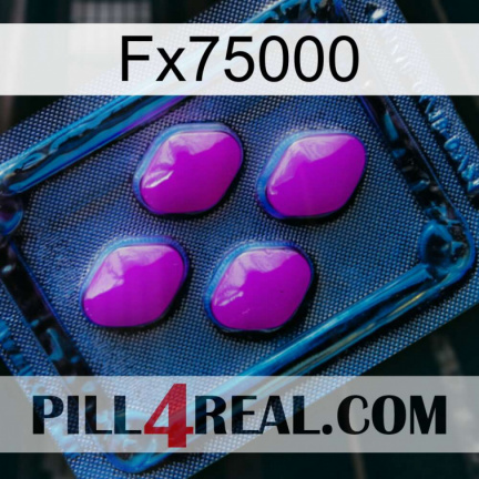 Fx75000 04